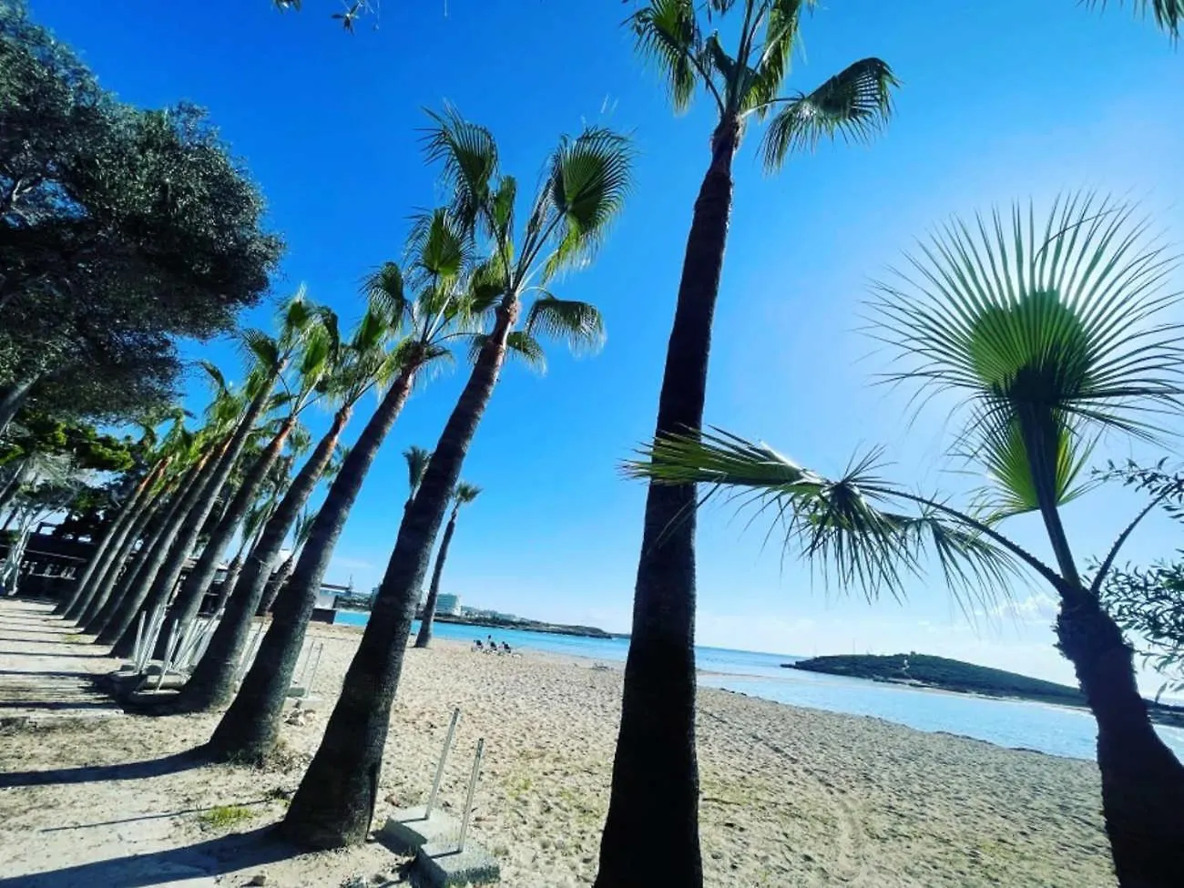 Lägenhet Stay Paradise Sands Studio Ayia Napa